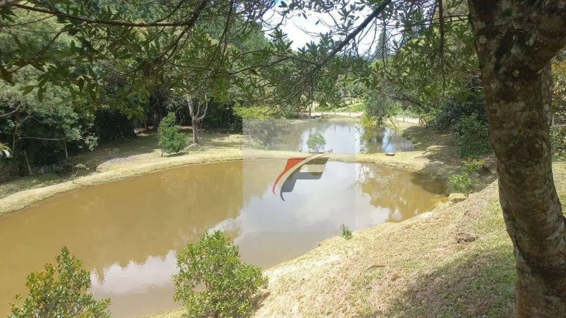 Chácara com 3 quartos à venda, 16900m2 em Agudos Do Sul - PR - imagem 9 Foto 9 de Chácara com 3 quartos à venda, 16900m2 em Agudos Do Sul - PR
