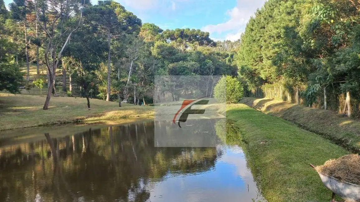 Chácara com 3 quartos à venda, 16900m2 em Agudos Do Sul - PR - imagem 5 Foto 5 de Chácara com 3 quartos à venda, 16900m2 em Agudos Do Sul - PR