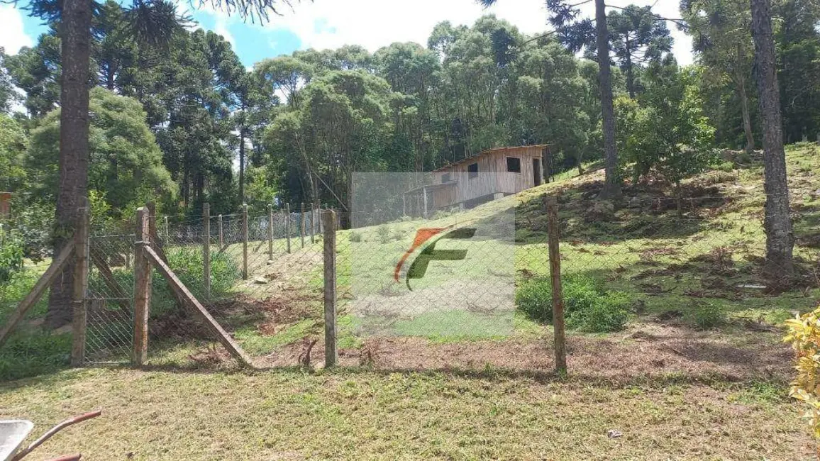 Chácara com 3 quartos à venda, 16900m2 em Agudos Do Sul - PR - imagem 8 Foto 8 de Chácara com 3 quartos à venda, 16900m2 em Agudos Do Sul - PR