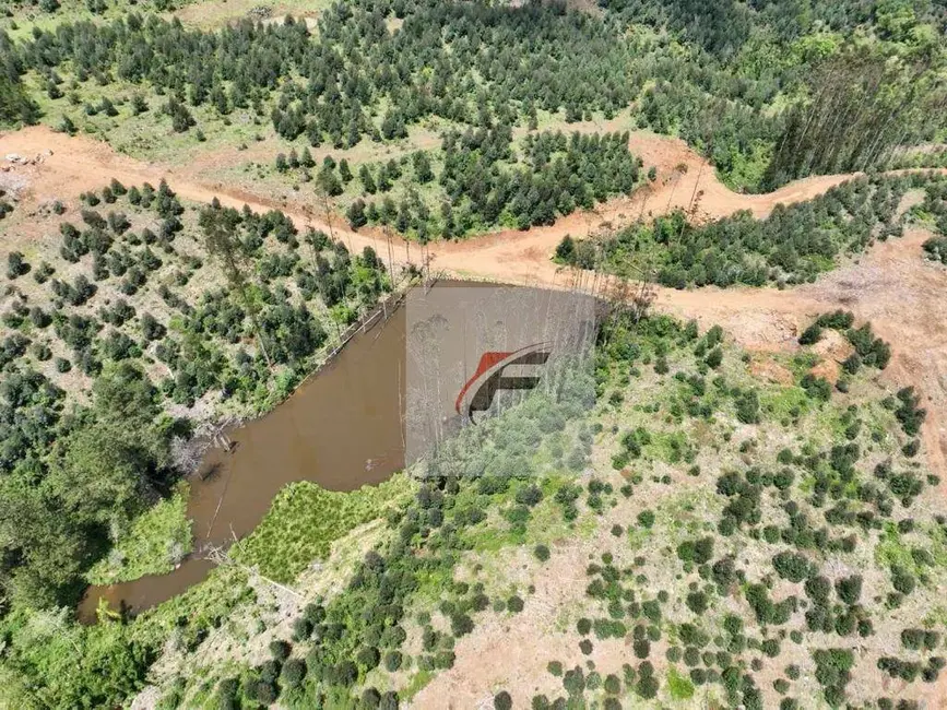 Foto 6 de Fazenda / Haras com 3 quartos à venda, 1210000m2 em Prudentopolis - PR
