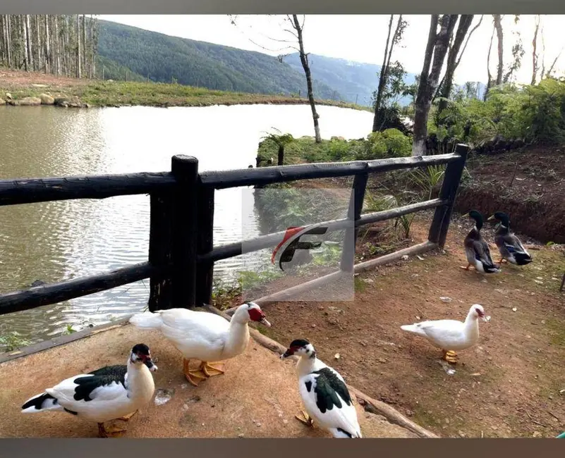 Foto 5 de Fazenda / Haras com 3 quartos à venda, 1210000m2 em Prudentopolis - PR