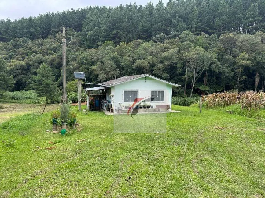 Foto 5 de Chácara com 3 quartos à venda, 5700m2 em Centro, Mandirituba - PR