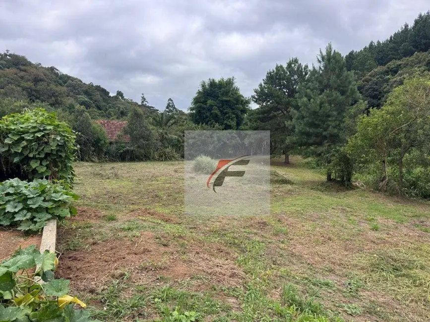 Foto 3 de Chácara com 3 quartos à venda, 5700m2 em Centro, Mandirituba - PR