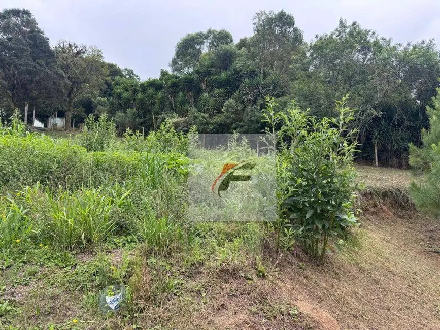 Foto 8 de Chácara com 3 quartos à venda, 5700m2 em Centro, Mandirituba - PR