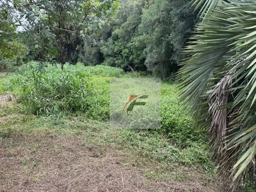 Foto 2 de Chácara com 3 quartos à venda, 5700m2 em Centro, Mandirituba - PR