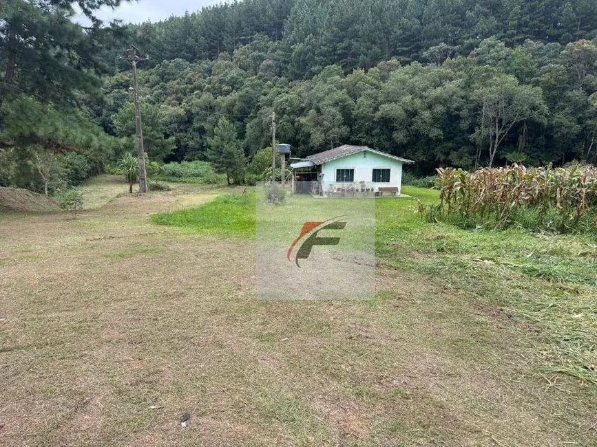 Foto 1 de Chácara com 3 quartos à venda, 5700m2 em Centro, Mandirituba - PR