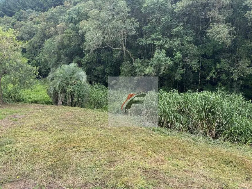 Foto 6 de Chácara com 3 quartos à venda, 5700m2 em Centro, Mandirituba - PR