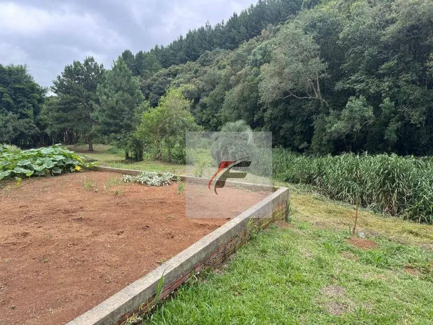 Foto 4 de Chácara com 3 quartos à venda, 5700m2 em Centro, Mandirituba - PR