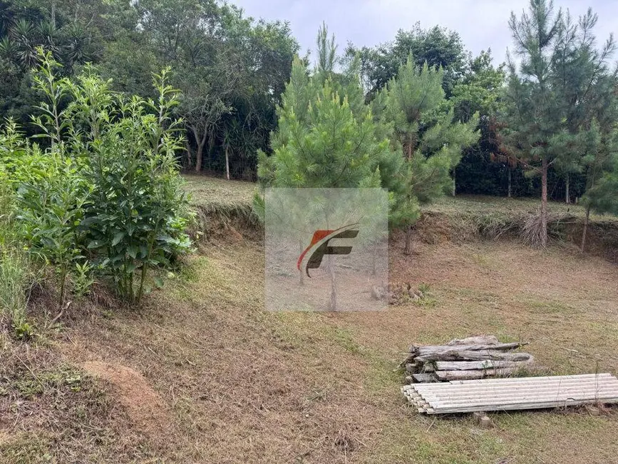 Foto 9 de Chácara com 3 quartos à venda, 5700m2 em Centro, Mandirituba - PR