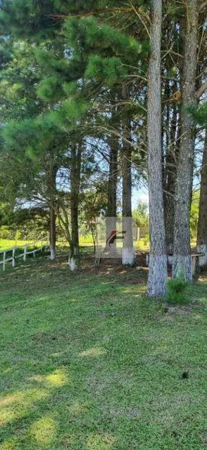 Foto 4 de Fazenda / Haras com 3 quartos à venda, 6930m2 em Centro, Santo Antonio Do Caiua - PR