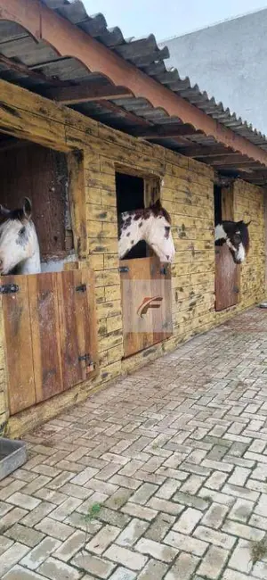 Foto 1 de Fazenda / Haras com 3 quartos à venda, 6930m2 em Centro, Santo Antonio Do Caiua - PR
