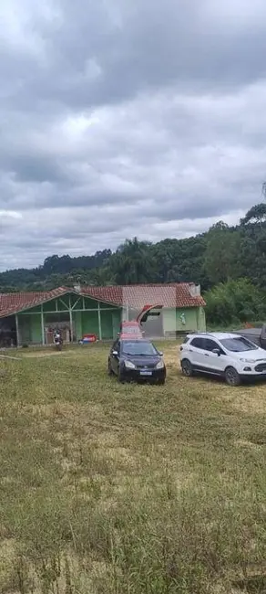Foto 5 de Chácara com 3 quartos à venda, 121000m2 em Centro, Rio Negro - PR