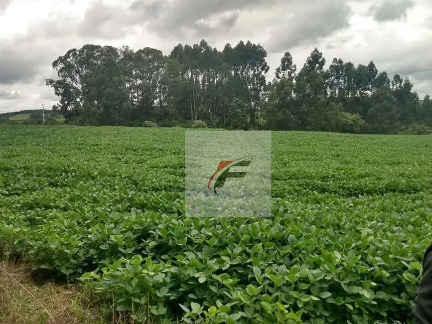Foto 1 de Chácara com 3 quartos à venda, 121000m2 em Centro, Rio Negro, PR