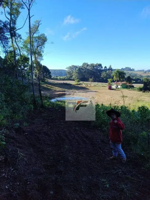 Foto 3 de Chácara com 3 quartos à venda, 121000m2 em Centro, Rio Negro - PR