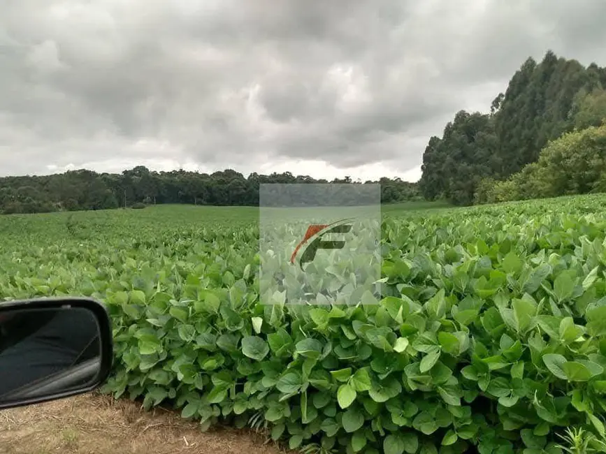 Foto 7 de Chácara com 3 quartos à venda, 121000m2 em Centro, Rio Negro - PR