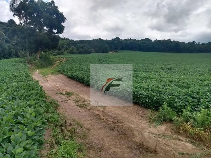 Foto 6 de Chácara com 3 quartos à venda, 121000m2 em Centro, Rio Negro - PR