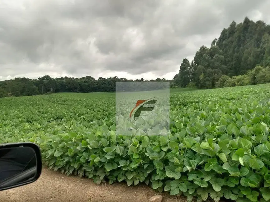 Foto 4 de Chácara com 3 quartos à venda, 121000m2 em Centro, Rio Negro - PR