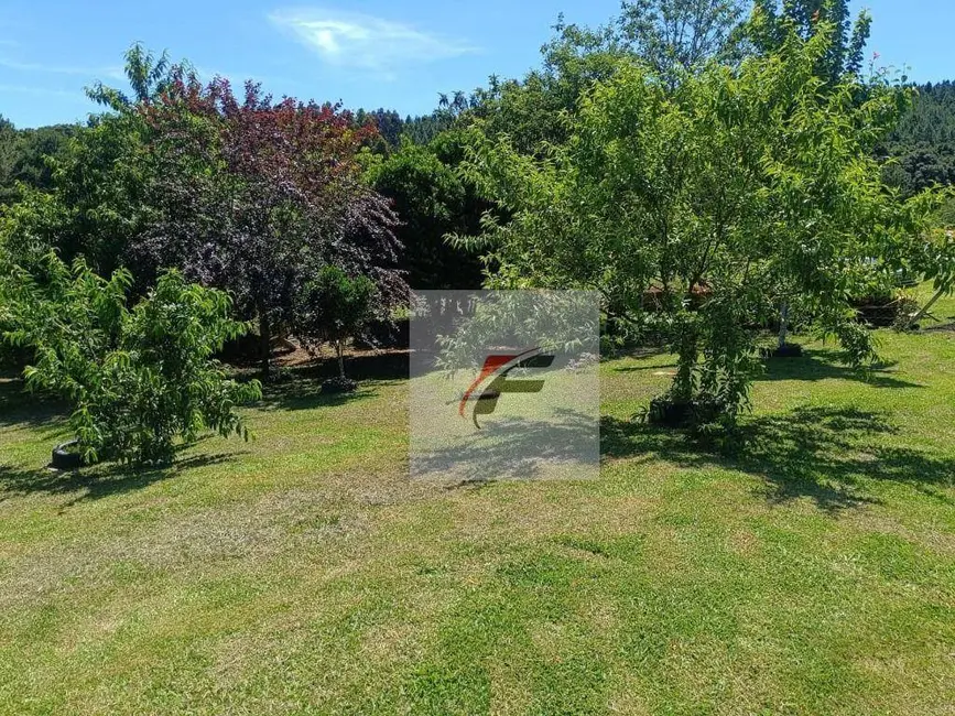 Foto 8 de Chácara com 3 quartos à venda, 8470m2 em Agudos Do Sul - PR