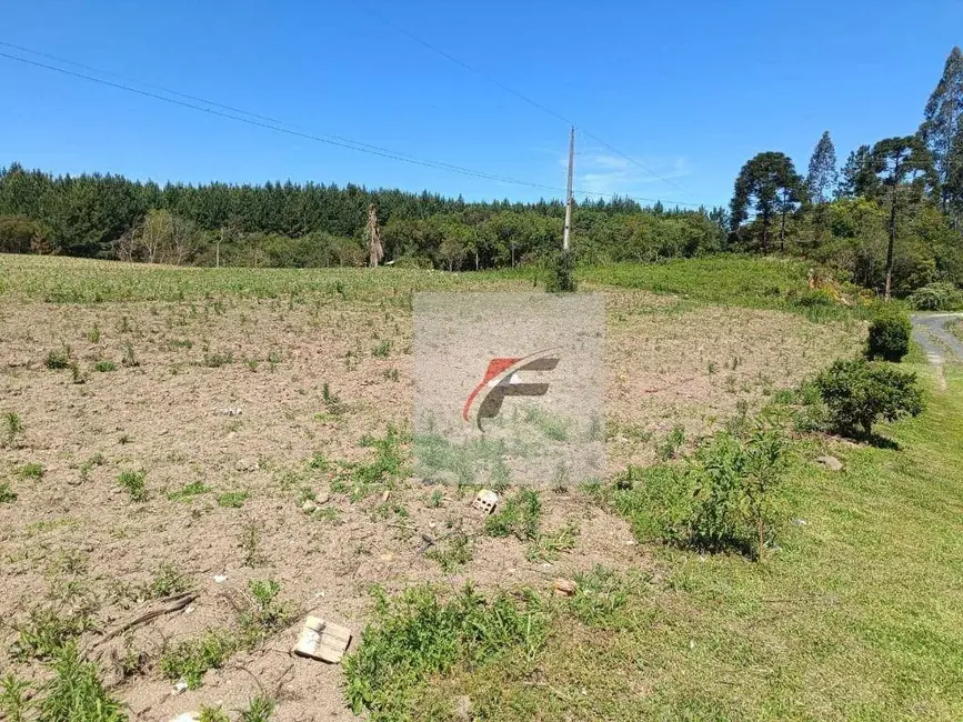 Foto 7 de Chácara com 3 quartos à venda, 8470m2 em Agudos Do Sul - PR