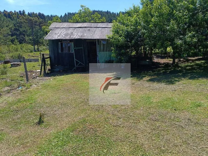 Foto 9 de Chácara com 3 quartos à venda, 8470m2 em Agudos Do Sul - PR