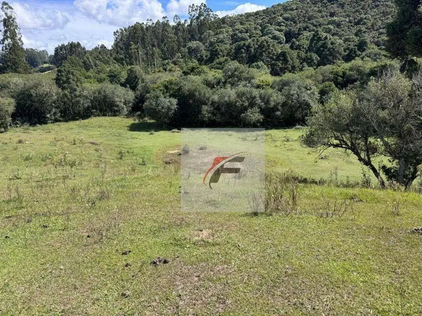 Foto 6 de Chácara com 3 quartos à venda, 147620m2 em Agudos Do Sul - PR
