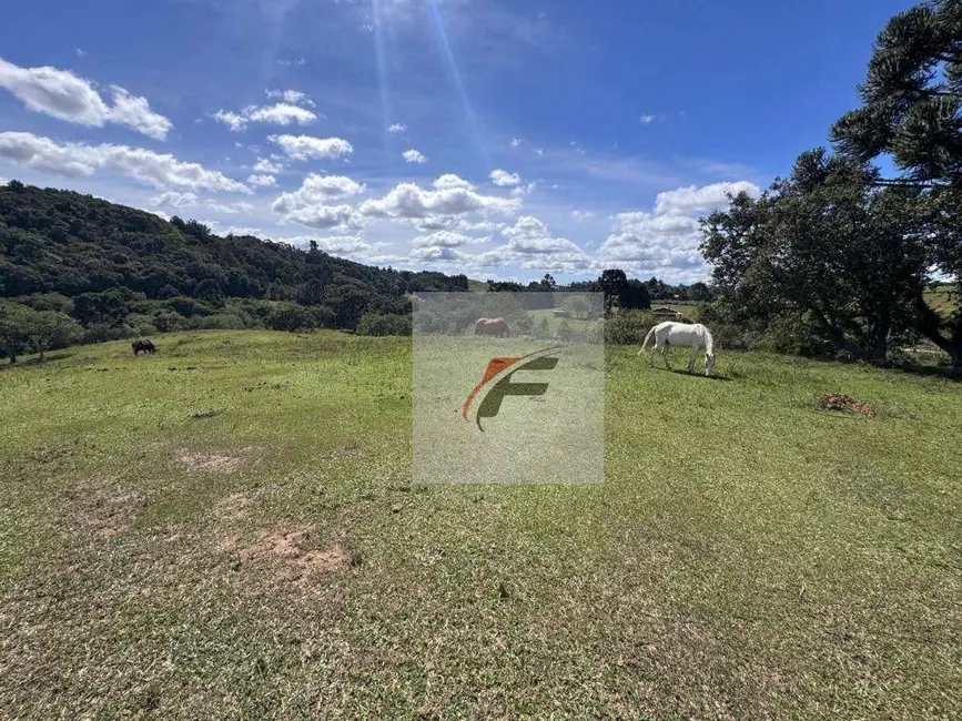 Foto 5 de Chácara com 3 quartos à venda, 147620m2 em Agudos Do Sul - PR