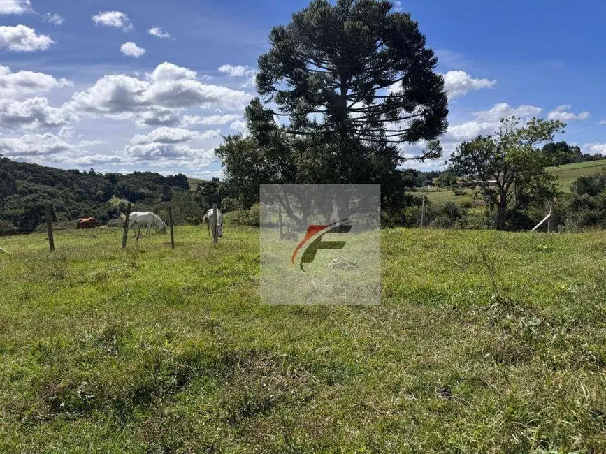Foto 2 de Chácara com 3 quartos à venda, 147620m2 em Agudos Do Sul - PR