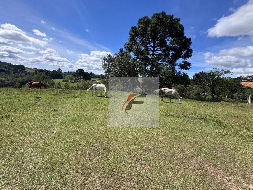 Foto 8 de Chácara com 3 quartos à venda, 147620m2 em Agudos Do Sul - PR