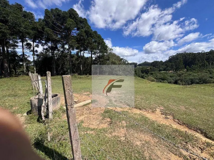 Foto 7 de Chácara com 3 quartos à venda, 147620m2 em Agudos Do Sul - PR