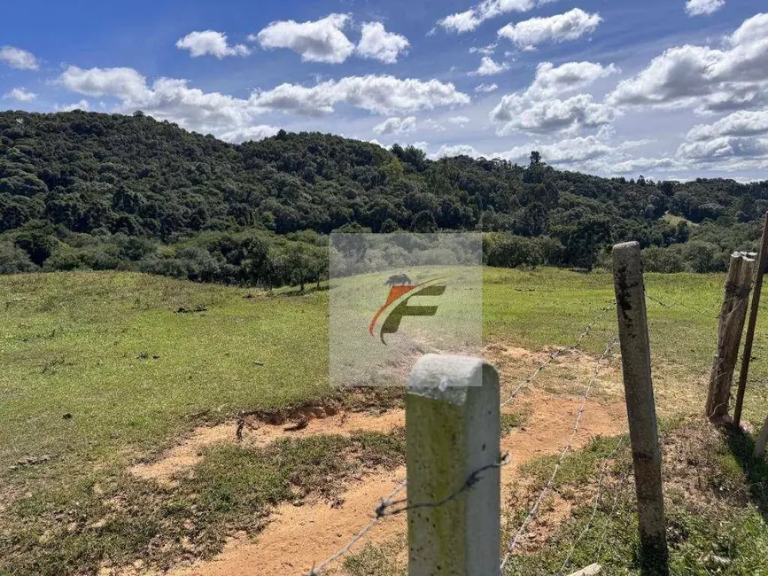 Foto 3 de Chácara com 3 quartos à venda, 147620m2 em Agudos Do Sul - PR