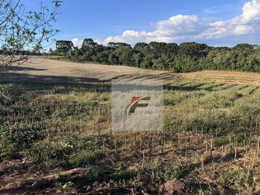 Foto 2 de Chácara com 4 quartos à venda, 47190m2 em Quitandinha - PR