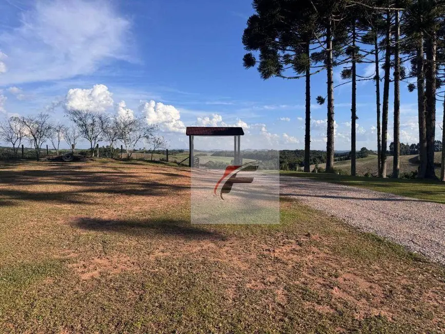 Foto 5 de Chácara com 4 quartos à venda, 47190m2 em Quitandinha - PR