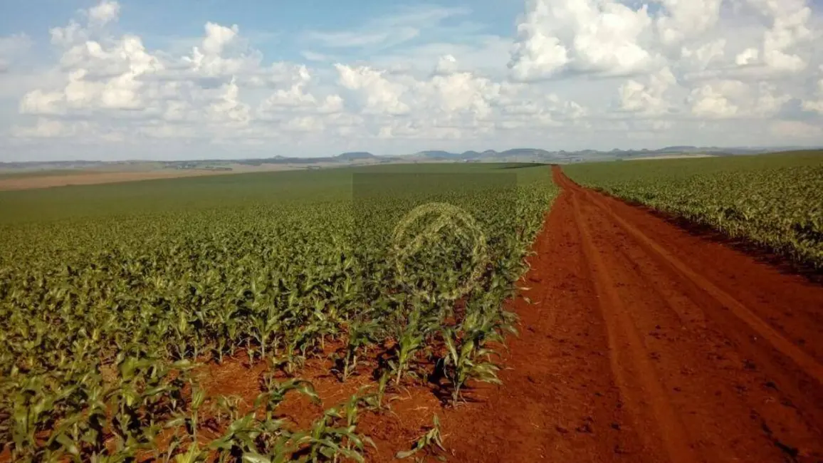 Foto 2 de Fazenda / Haras à venda, 16431800m2 em Centro, Goioere - PR