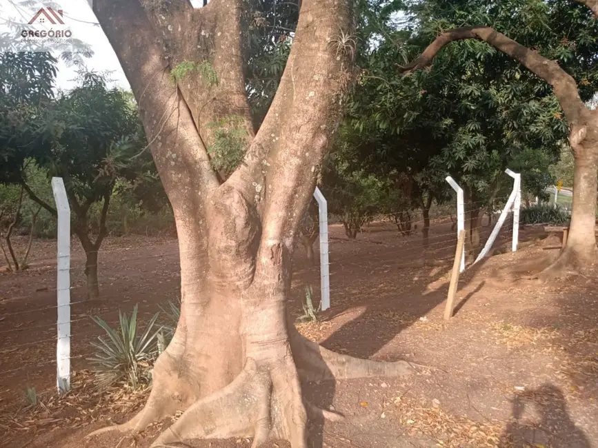 Chácara à venda em Tiete - SP - imagem 3 Foto 3 de Chácara à venda em Tiete - SP
