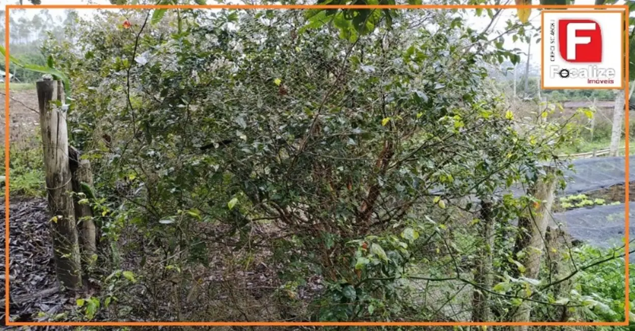 Foto 38 de Chácara à venda, 3395m2 em Itapoa - SC