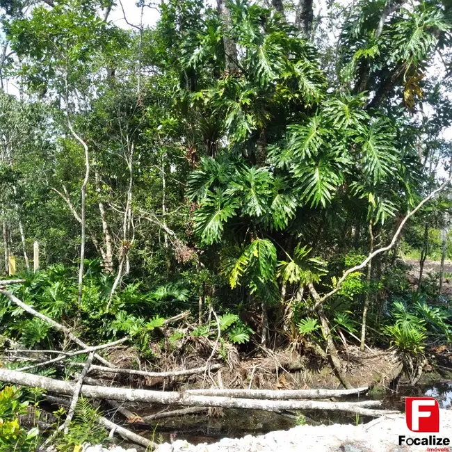 Foto 5 de Terreno / Lote à venda, 454m2 em Itapoa - SC