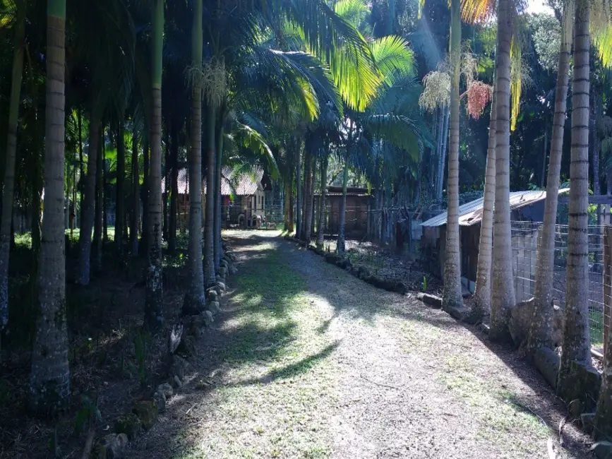 Foto 4 de Chácara com 4 quartos à venda, 360m2 em Sao Francisco Do Sul - SC