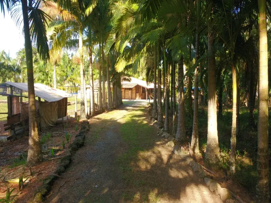 Foto 6 de Chácara com 4 quartos à venda, 360m2 em Sao Francisco Do Sul - SC