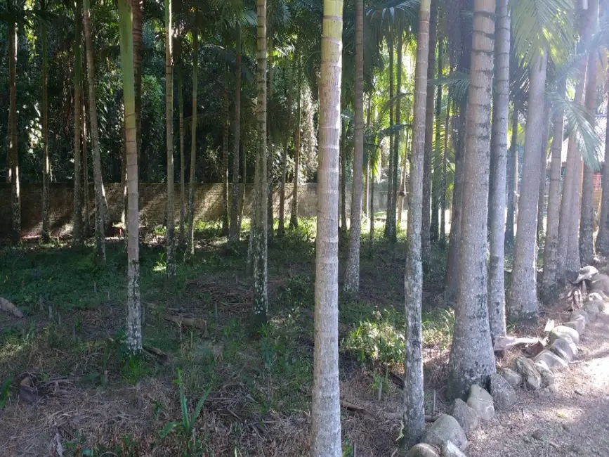 Foto 5 de Chácara com 4 quartos à venda, 360m2 em Sao Francisco Do Sul - SC