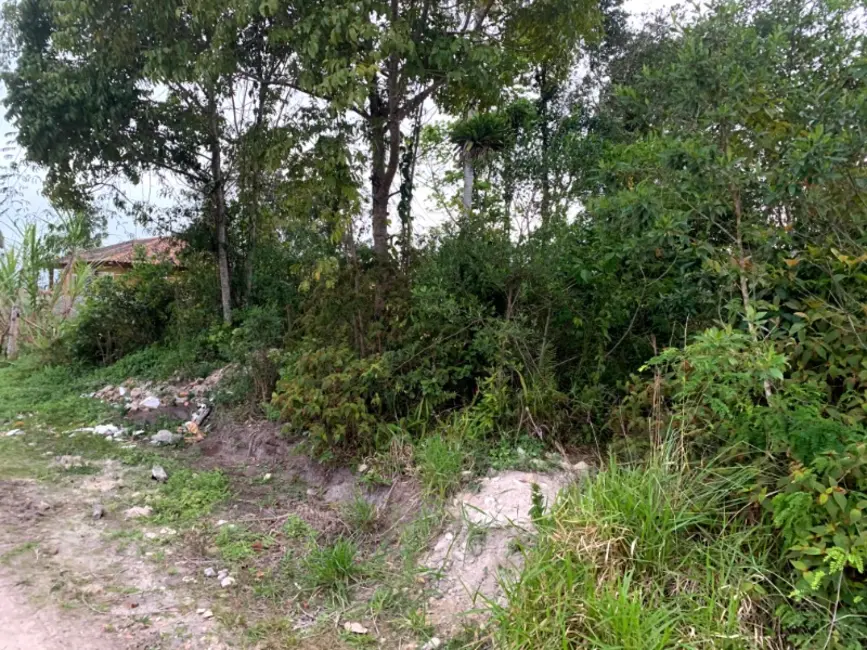 Foto 2 de Terreno / Lote à venda, 360m2 em Sao Francisco Do Sul - SC