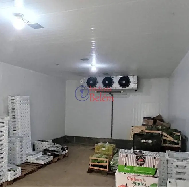 Foto 2 de Armazém / Galpão para alugar, 350m2 em Pedreira, Belem - PA