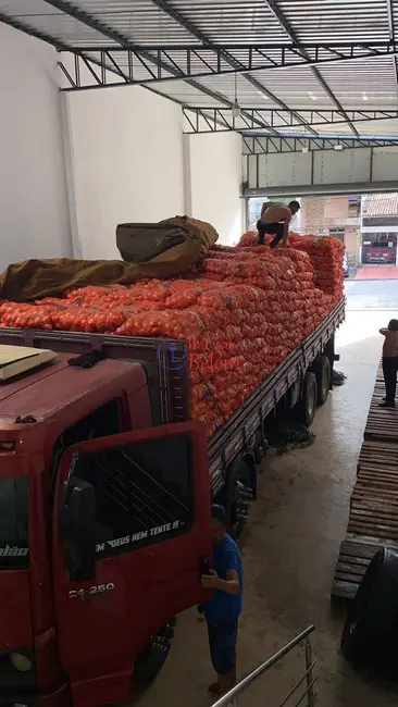 Foto 8 de Armazém / Galpão para alugar, 350m2 em Pedreira, Belem - PA