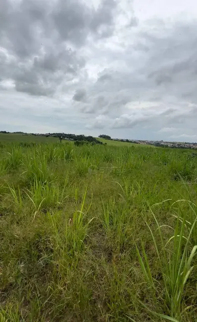 Foto 4 de Fazenda / Haras à venda, 3121800m2 em Monte Mor - SP