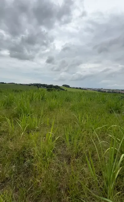 Foto 4 de Fazenda / Haras à venda, 3121800m2 em Monte Mor - SP