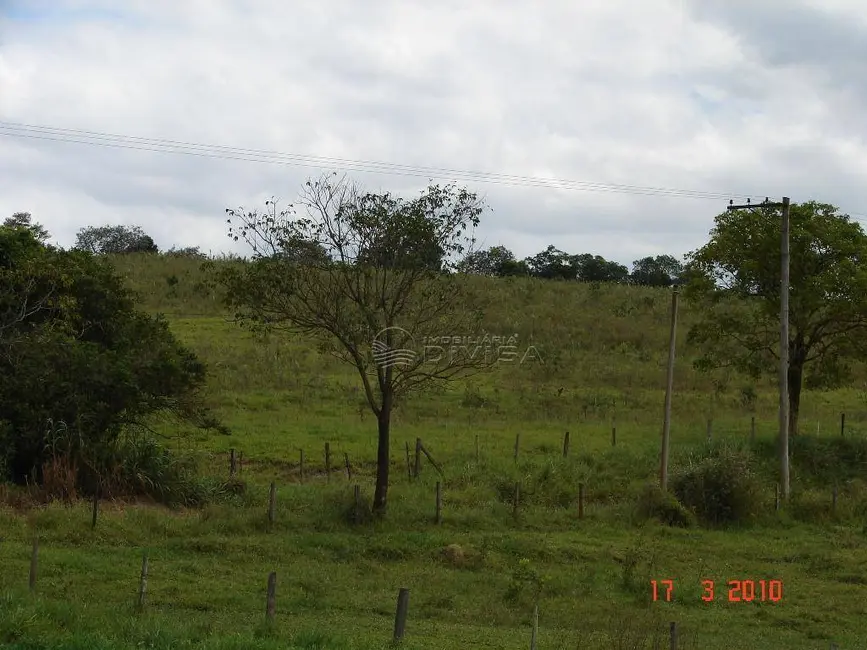 Foto 7 de Sítio / Rancho à venda, 152580m2 em Centro, Elias Fausto - SP