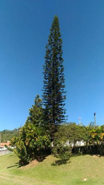Foto 12 de Chácara à venda, 3184m2 em Jarinu - SP