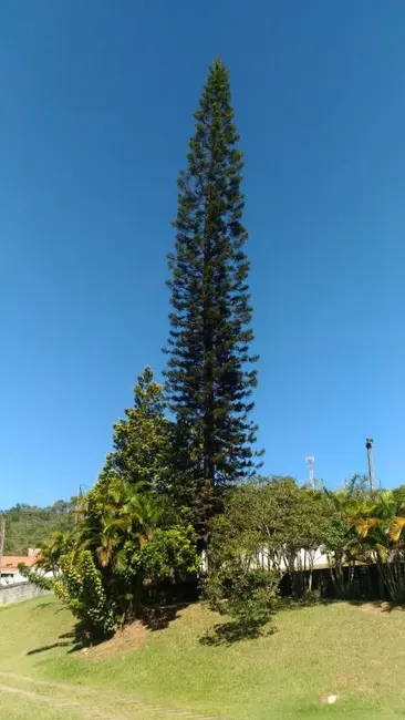 Foto 12 de Chácara à venda, 3184m2 em Jarinu - SP