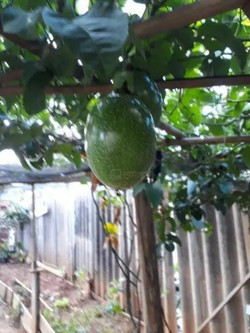 Foto 9 de Terreno / Lote à venda, 146m2 em Itupeva - SP