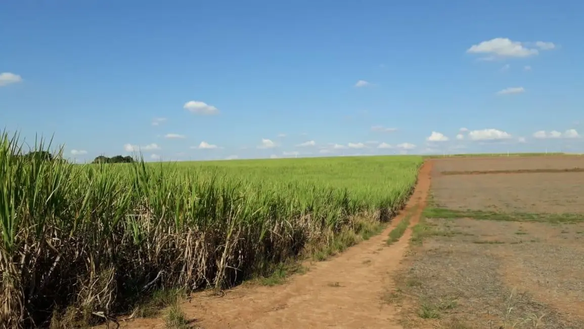 Foto 7 de Sala Comercial à venda, 338800m2 em Elias Fausto - SP