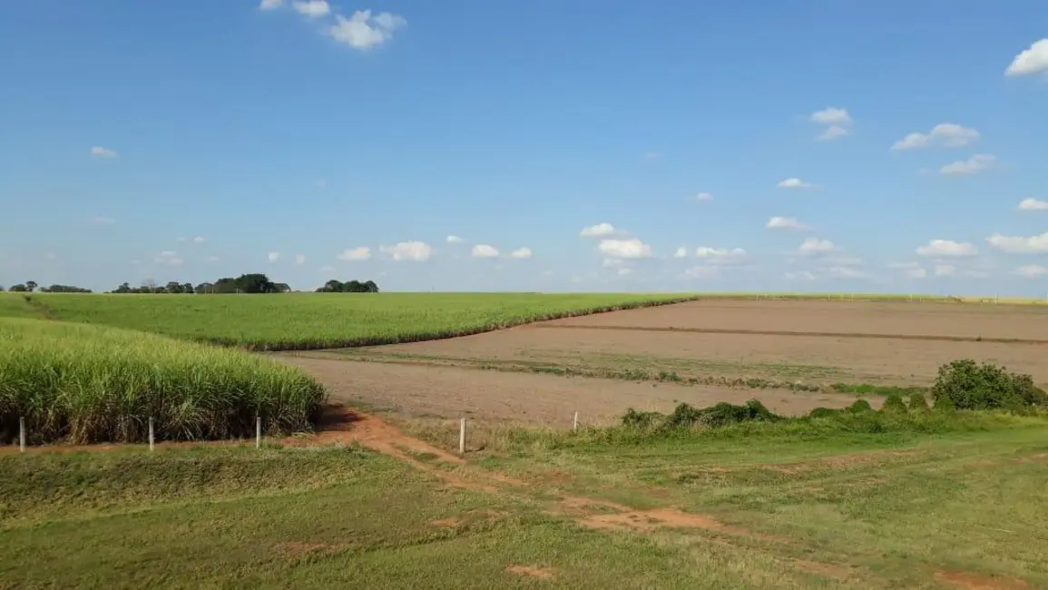 Foto 3 de Sala Comercial à venda, 338800m2 em Elias Fausto - SP